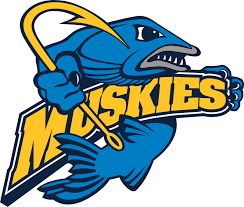 lakeland university