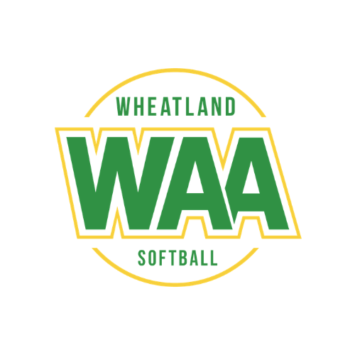 Spikes Supplemental Training - Softball Camps 500x500