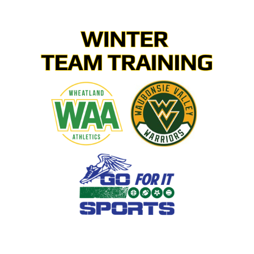 Spikes Supplemental Training - Winter Team Training 500x500