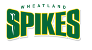 Wheat Land Spikes